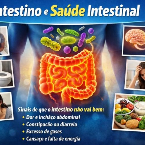 Ilustração educativa mostrando o intestino humano em destaque, microbiota intestinal, sinais de problemas intestinais e alimentos que ajudam na saúde do intestino