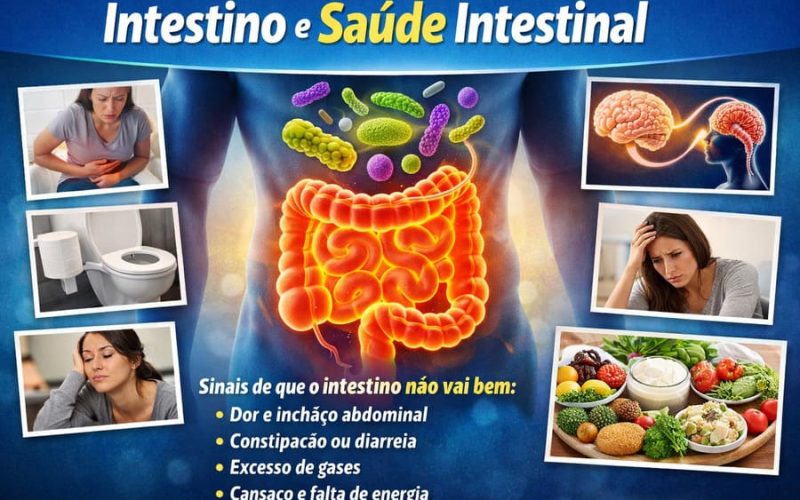 Ilustração educativa mostrando o intestino humano em destaque, microbiota intestinal, sinais de problemas intestinais e alimentos que ajudam na saúde do intestino
